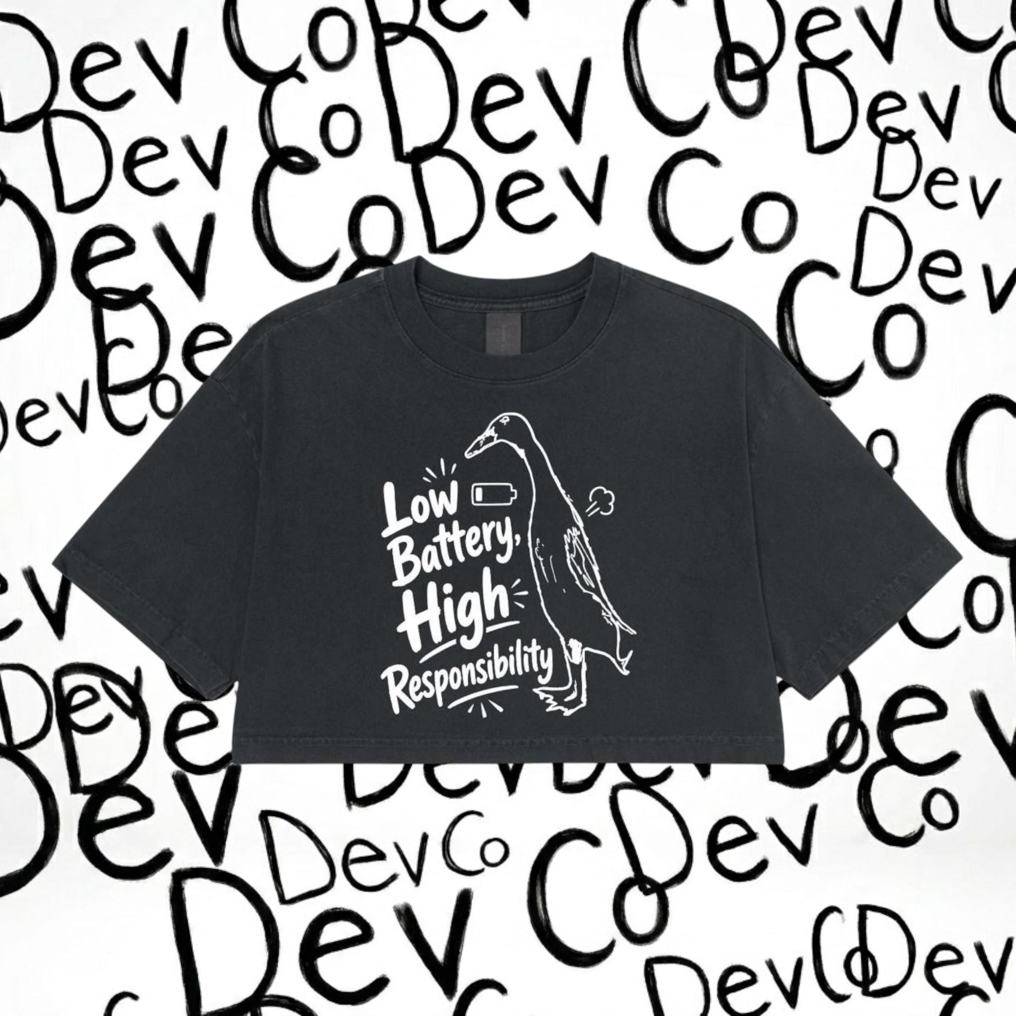 Low Battery, High Responsibility Cropped tee
